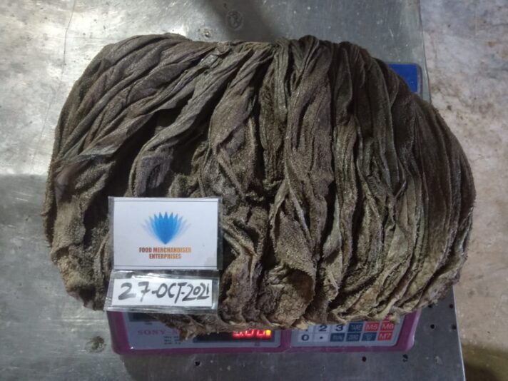 WhatsApp Image 2021-10-28 at 7.31.31 AM