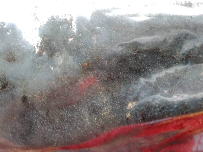 IMG-20211105-WA0014[1]