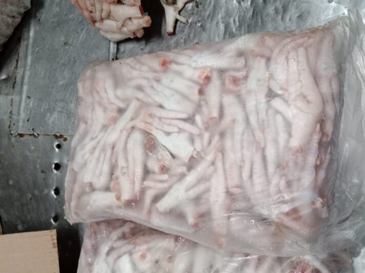 WhatsApp Image 2021-11-06 at 3.00.55 AM