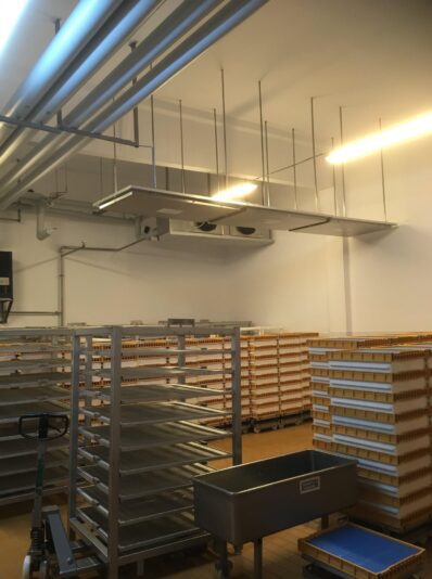 365156CA-0AA0-482C-8618-DB730E1FE8D6