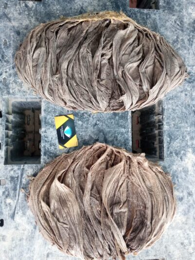 WhatsApp Image 2021-11-07 at 4.21.06 AM