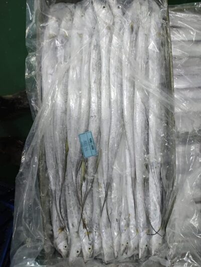 WhatsApp Image 2020-04-01 at 1.43.45 AM (13)