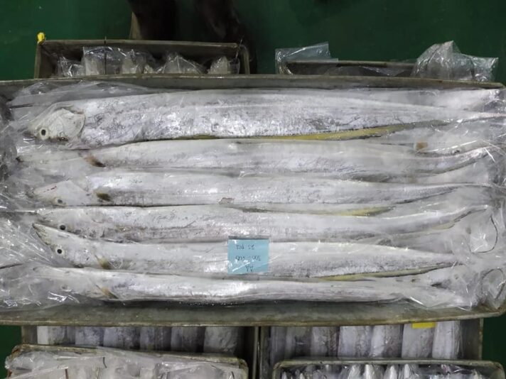 WhatsApp Image 2020-04-01 at 1.43.45 AM (10)