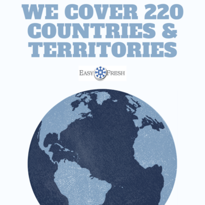 Blue Planet World Refugee Day Social Media Graphics (3)