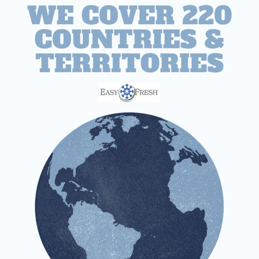 Blue Planet World Refugee Day Social Media Graphics (3)