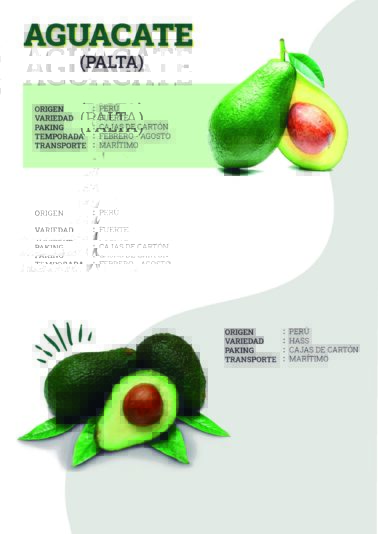 AGROEXPORTADORA copia_compressed (1)_Página_3