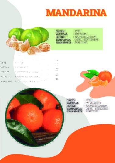 AGROEXPORTADORA copia_compressed (1)_Página_4