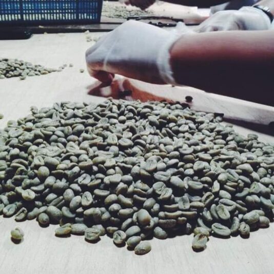 SELECCIONANDO GRANOS