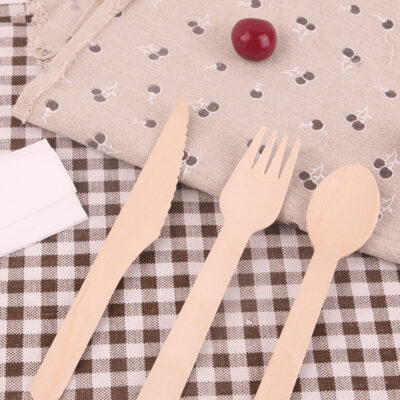 wrapped cutlery (13)