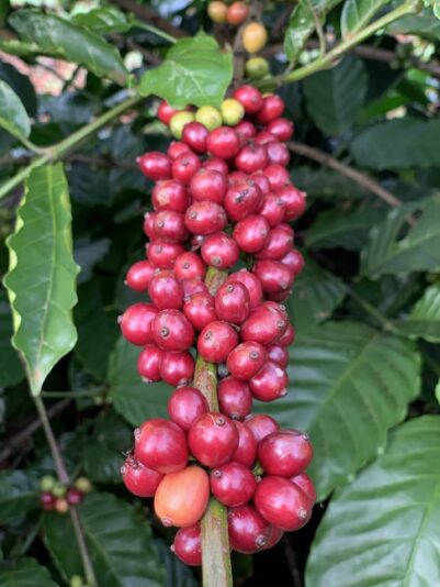 z2966371907344_1eaeb744381fc3b98db8a53b8ec6e82d