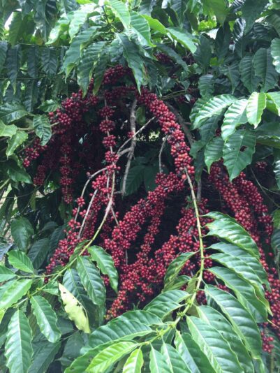 z3032709121244_1d647b4366758b62d10d0deefc9b6a51