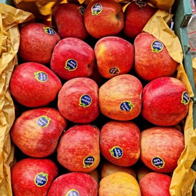 c22aa3b1-e0a3-46d1-98ce-d8e42a51ac70