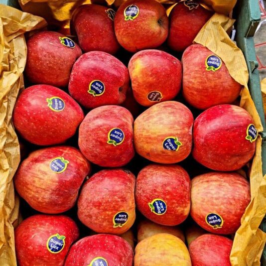 c22aa3b1-e0a3-46d1-98ce-d8e42a51ac70