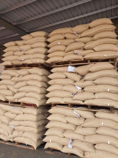 z3009444702726_6380f65936f5d6daeb1d0fc6aa4816e0