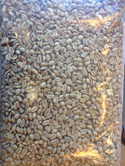 Typica nhân sống ..400đ