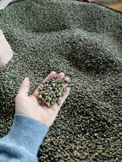 z2315087883200_452c4bb42211ed6ac8dfeab3ebe4ea91