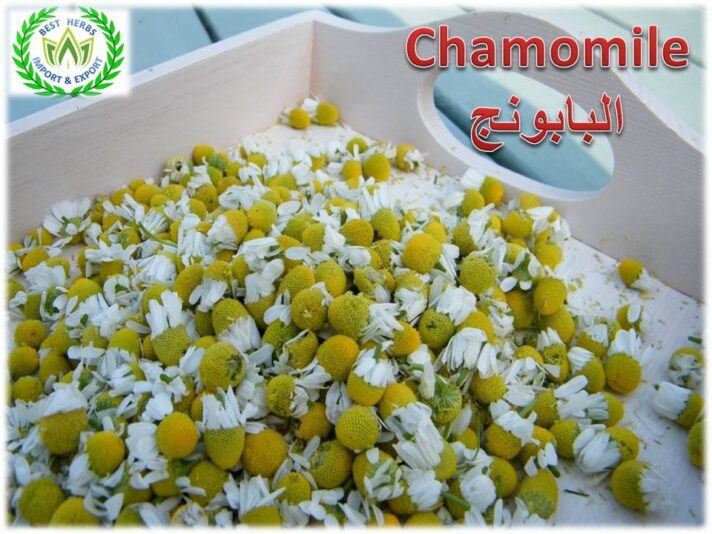 chamomil
