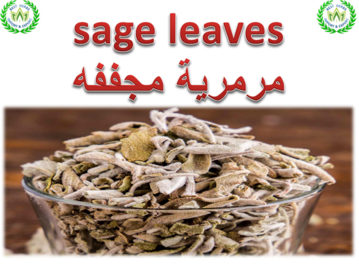sage