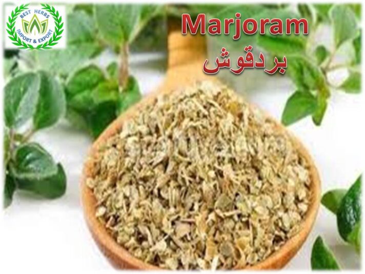marjoram
