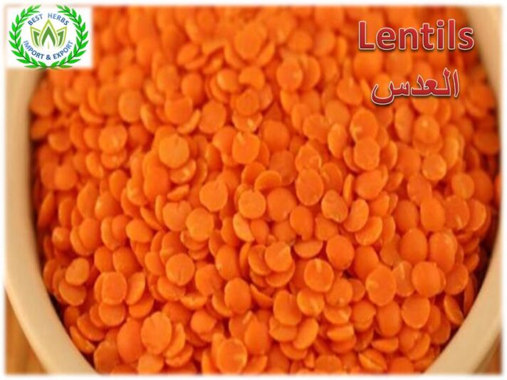 Lentils2