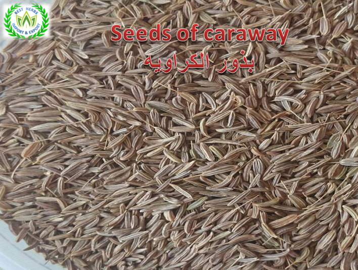 seeds caraway