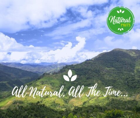 1B9BA7A4-B9F2-42AA-86FF-E79B97A43A3A