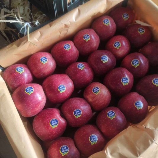 6b87658b-cfdd-4f83-b3bc-e81b4357a6f8