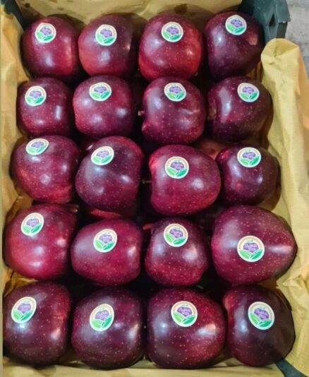 fd5015d1-f124-4f26-80c4-3bedc4531b9f