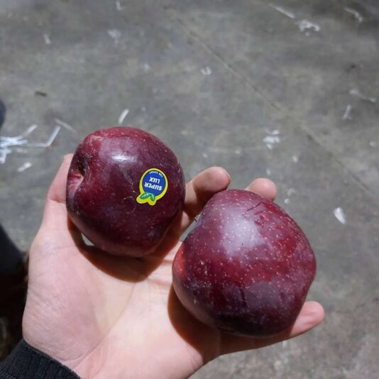 475cbaf7-e24e-4916-b813-6178e654f931