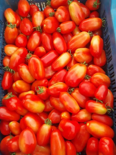 WhatsApp Image 2022-01-05 at 14.32.38