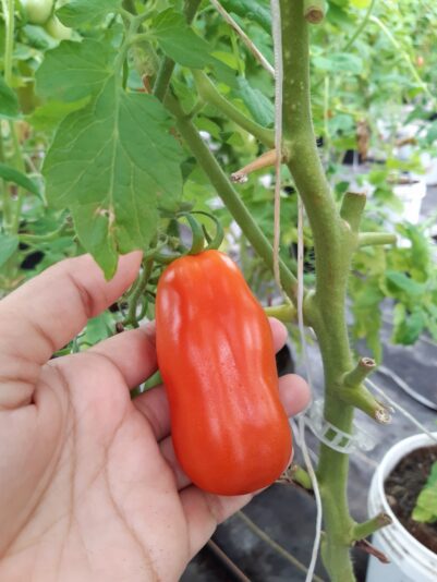 WhatsApp Image 2021-12-30 at 15.23.16 (2)