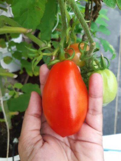 WhatsApp Image 2021-12-30 at 15.23.16 (1)