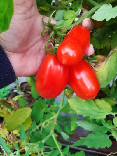 WhatsApp Image 2021-12-30 at 15.23.16