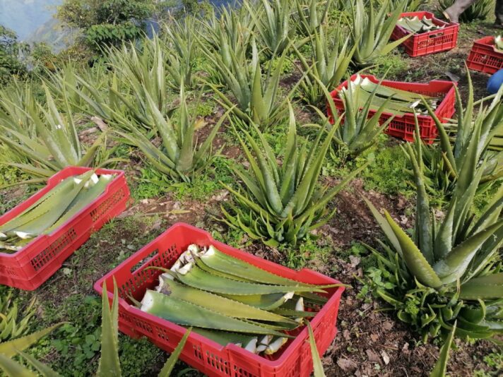 DCBD1C0D-9CBC-4228-90CF-27ED18CE33E0