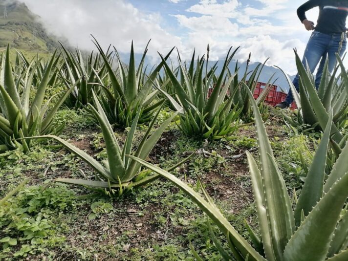 7B040FF6-5540-4B2C-9299-C498594FD1D1