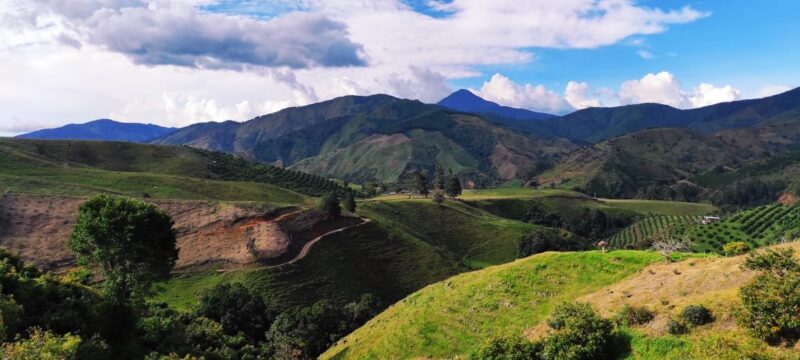 DAD3BDEE-4616-4947-9406-8B59D6CB6383