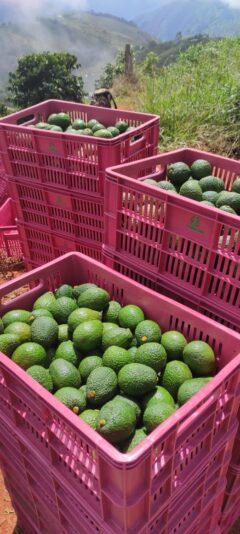 A89569FB-D86B-49D3-9E9B-C1BEAFBD33FA