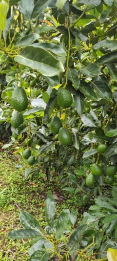 43E853B4-DA80-4FB5-97CD-8ED2DDFFAFCE