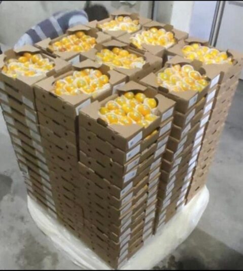 1AC086AE-8FC4-40A3-BDA5-5A011268DA27