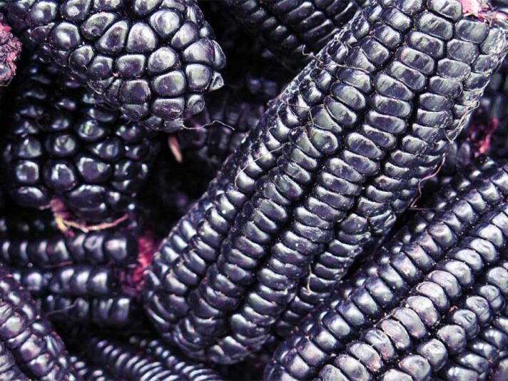 72806B54-0C0D-4F57-B4C5-9B9CFE1B4DC2