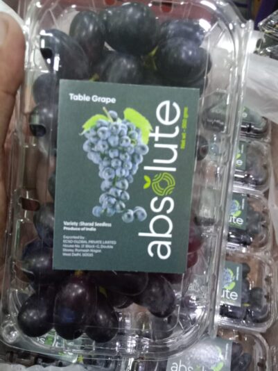 WhatsApp Image 2021-12-03 at 5.38.13 PM (1)