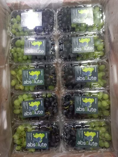 WhatsApp Image 2021-12-03 at 5.38.13 PM