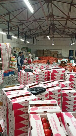 WhatsApp Image 2021-12-02 at 11.21.36 AM (2)