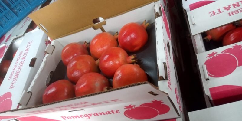 WhatsApp Image 2021-12-02 at 11.21.36 AM (1)