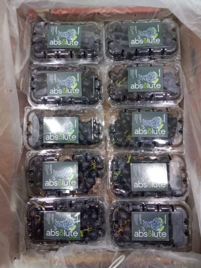 WhatsApp Image 2021-12-03 at 5.38.12 PM