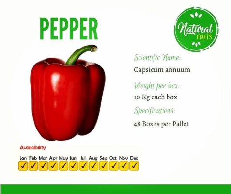 44FF6493-676D-41D5-BC7A-49E3C3103F28