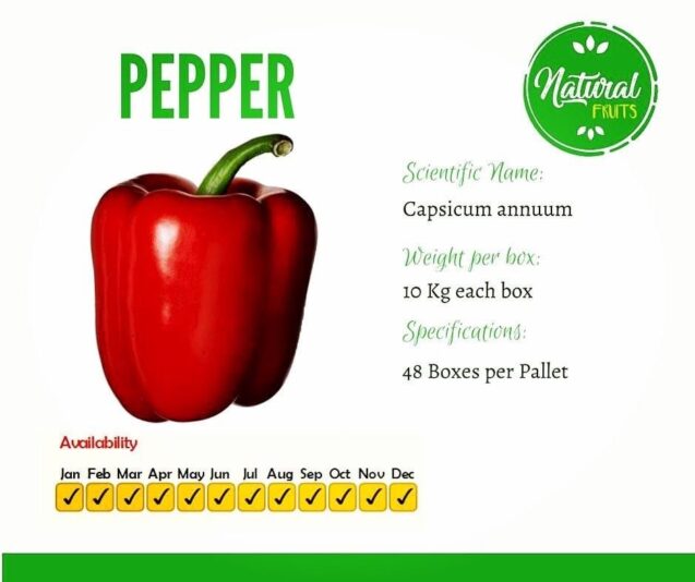 44FF6493-676D-41D5-BC7A-49E3C3103F28