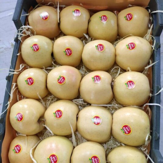 f6d07695-a2cd-4d0d-94e6-94b447f7d2dd