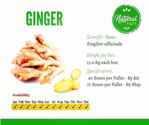 419B3030-E374-4181-A789-6513397E558F