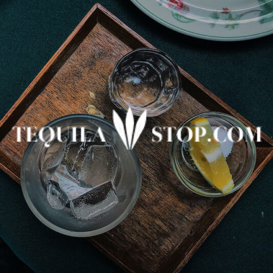 Tequila Stop Listing Icon